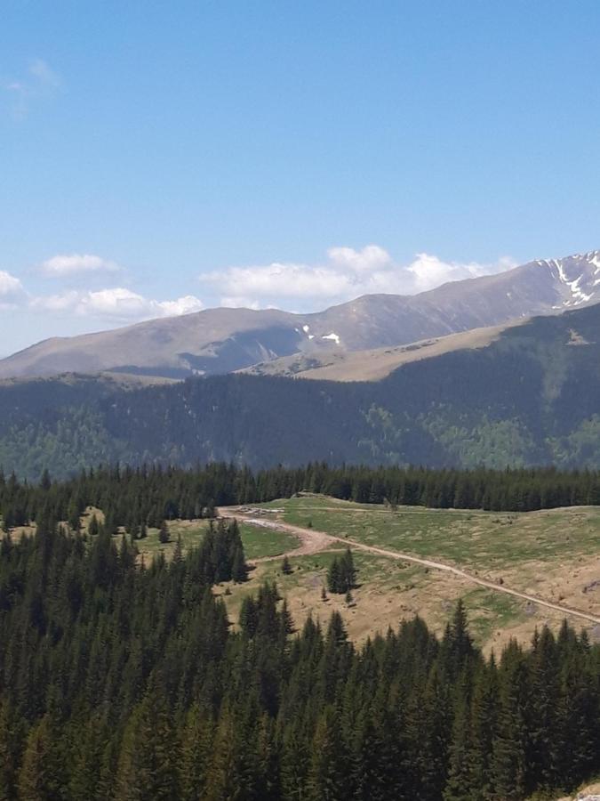 Piatra Rancii Hotell Ranca Exteriör bild