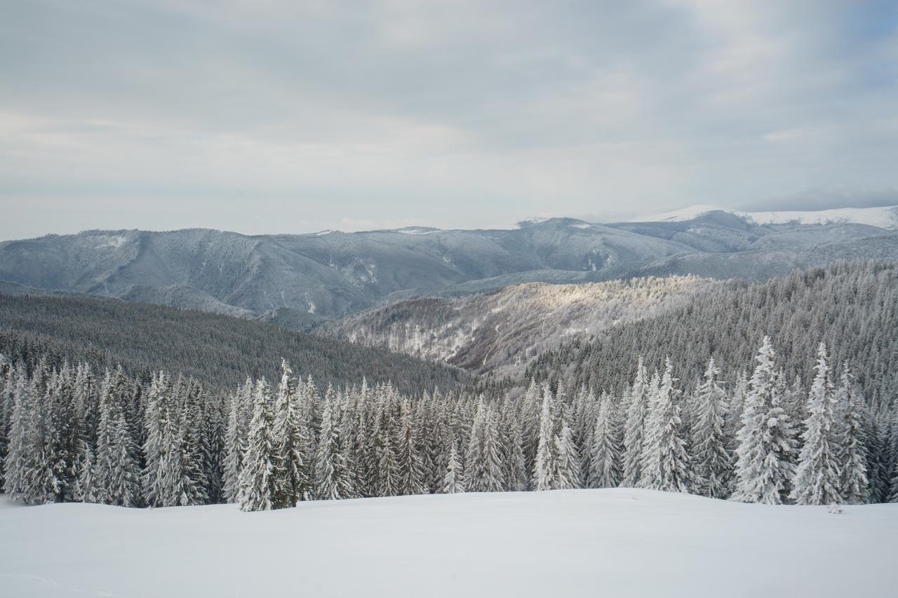 Piatra Rancii Hotell Ranca Exteriör bild