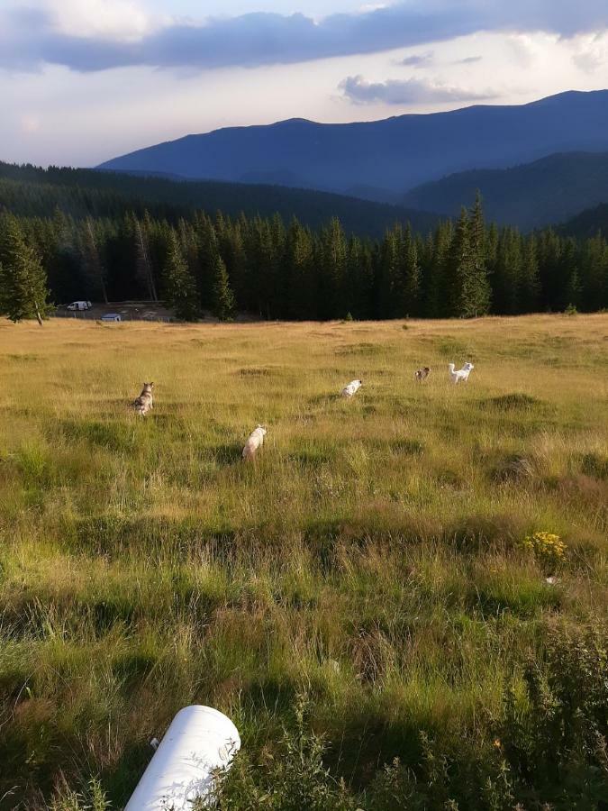 Piatra Rancii Hotell Ranca Exteriör bild